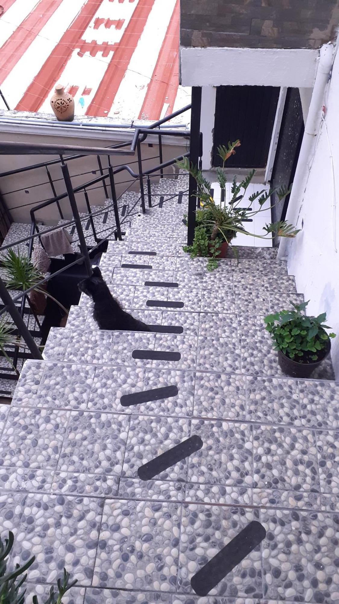 Aparta-Hotel Casa Real Apartamentos チャパラ 部屋 写真